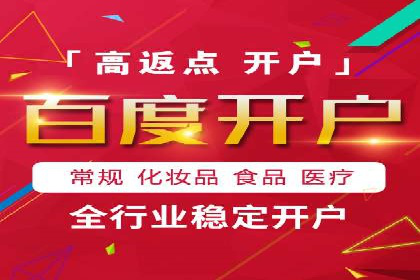 SEM运营推广策略：成功案例解析