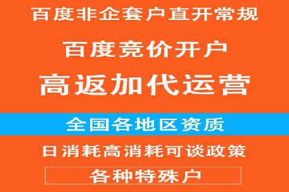 百度推广公司的成功案例：如何实现广告投资回报最大化